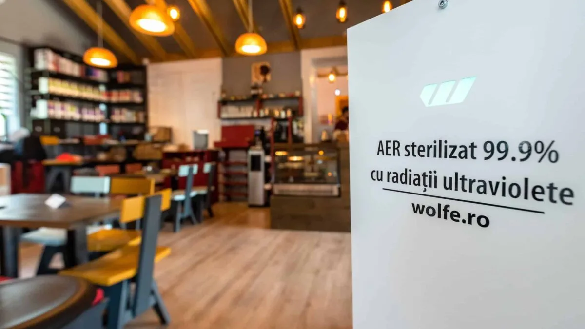 1.Wolf-e-fotografie-scaled