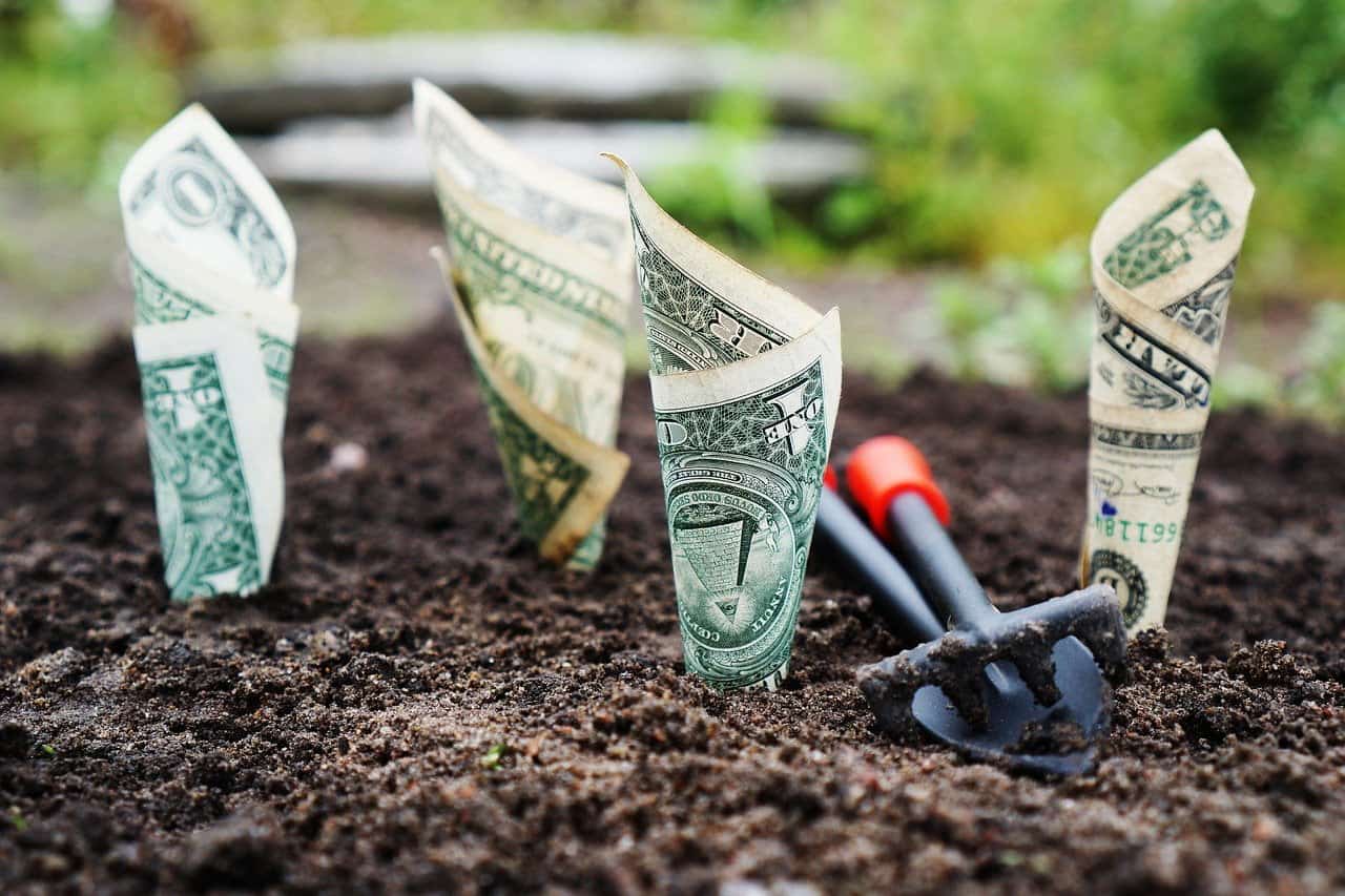 Idei de afacere profitabile in agricultura