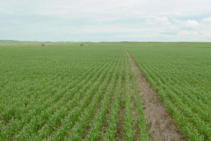 6e4e942c946bf82471c17251d9e335e8 XL