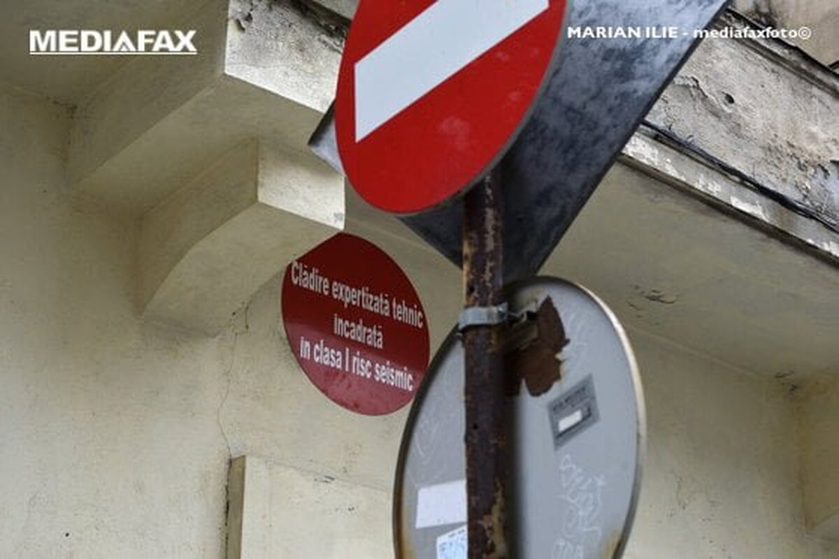 Primăria Capitalei vrea să demareze recensământul animalelor cu stăpân. Sunt prevăzute și amenzi