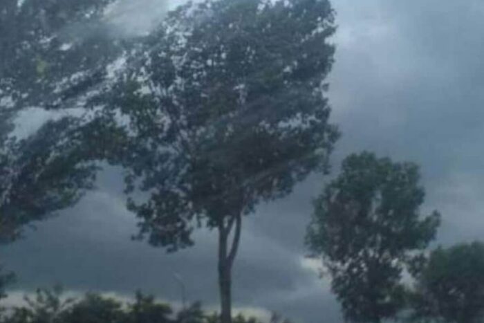 766721 1545747896 cod galben de vant puternic pentru 14 judete