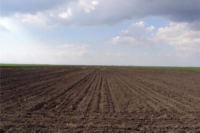 7f768277bbf3045a32a279f69ae6d1ce