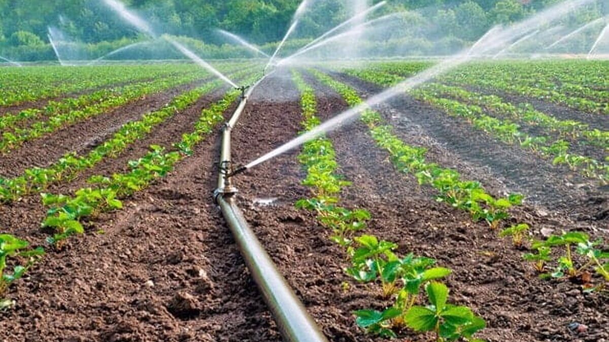 Parteneriat strategic între USAMV şi producatorul de inputuri organice Norofert 9tarim 002