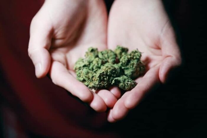 CBD 1