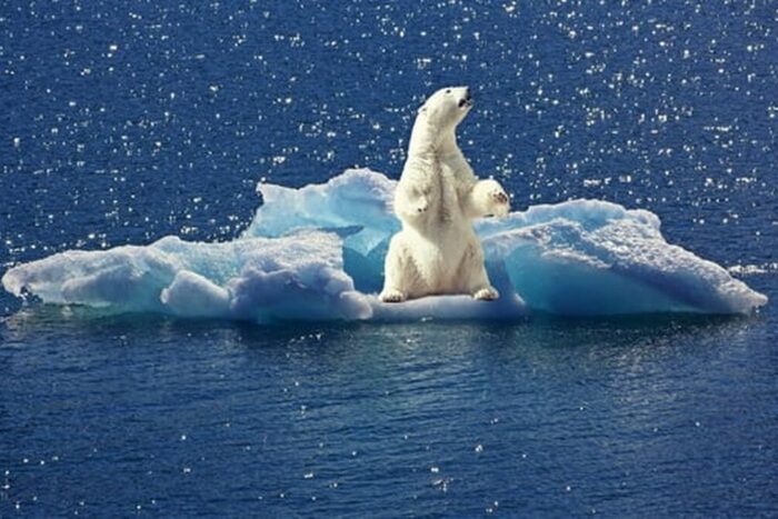 Cati bani ar castiga omenirea daca s ar trece la economia verde