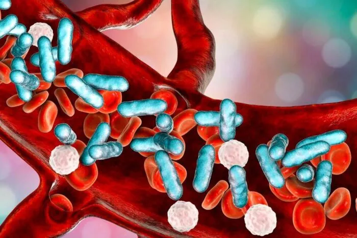 Infectie-in-sange