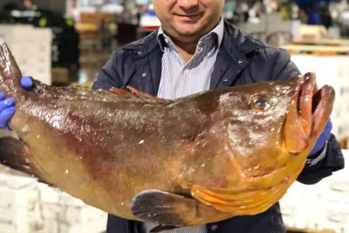 Sorin-Barbu_fondator-La-Pescaderia-by-Alioli