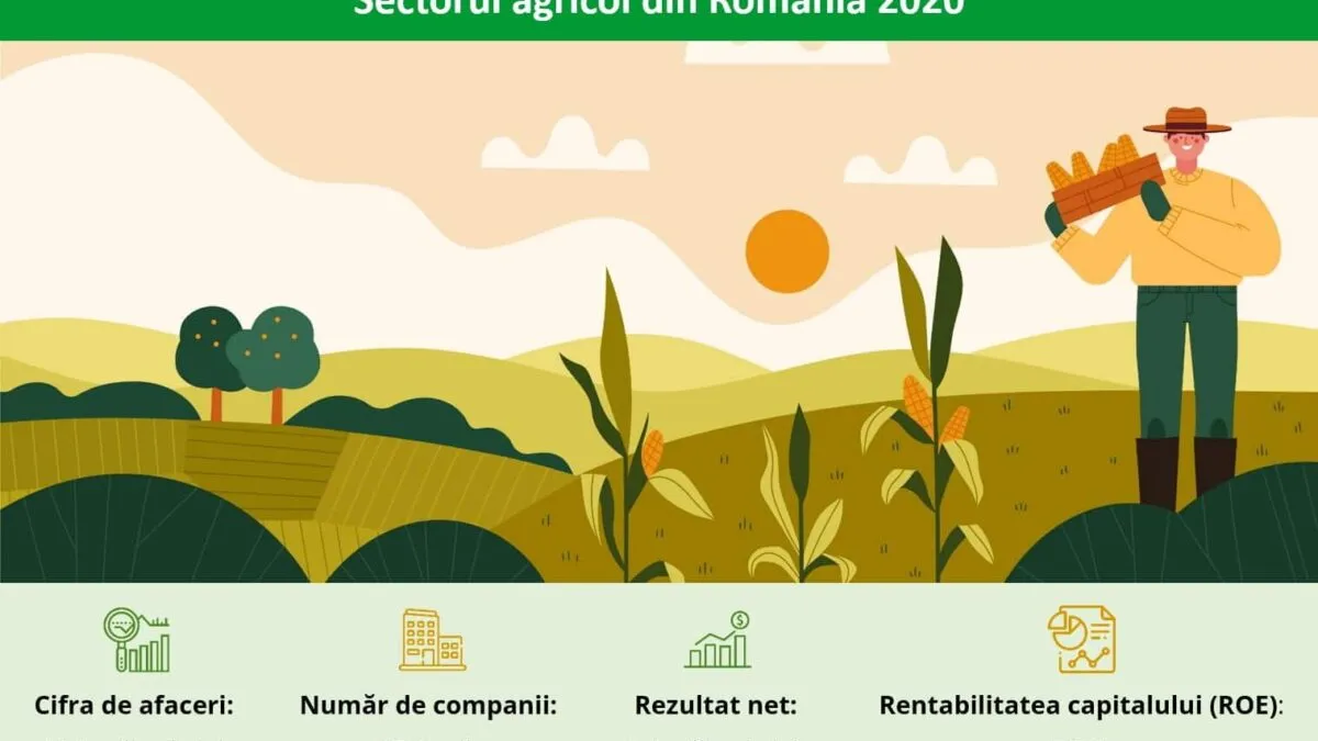 Studiu-agricultura-Keysfin-3