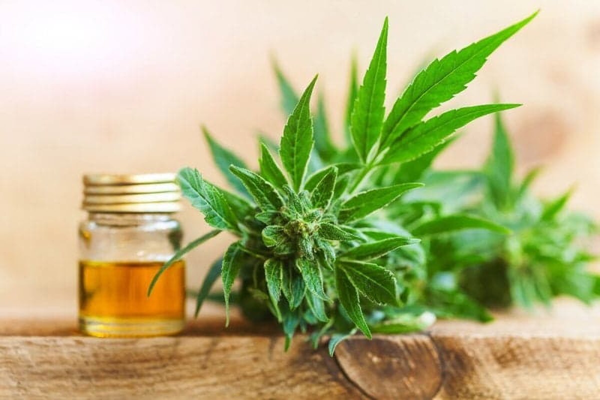 Informații utile despre uleiul cbd