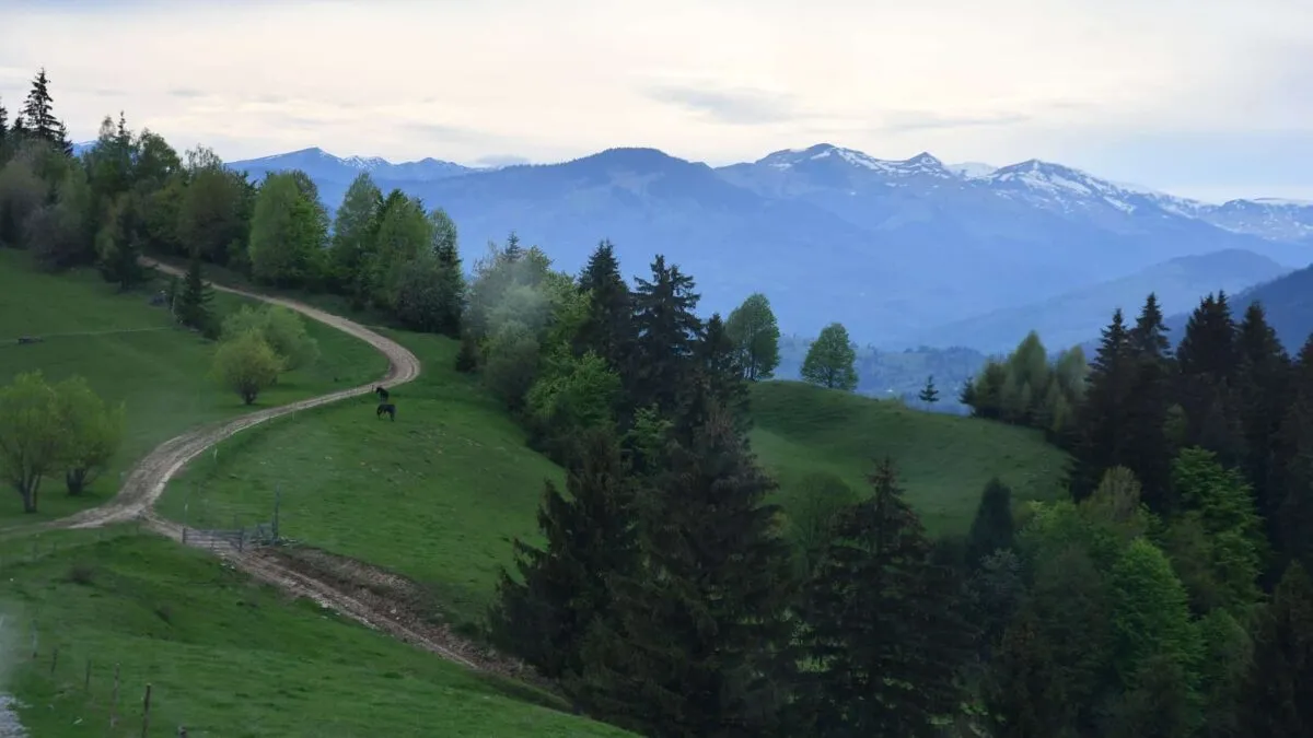 Via-Transilvanica-Maraton