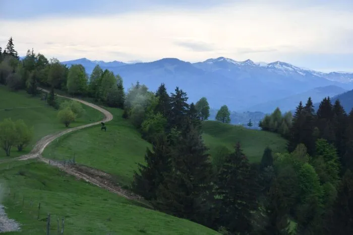 Via-Transilvanica-Maraton
