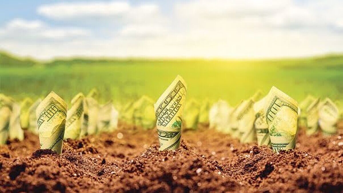 agricultura 56787654567 46857500