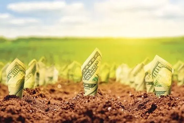 agricultura_56787654567_46857500