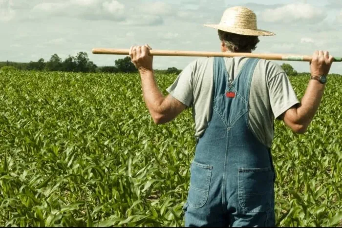 agricultura_78695046789504_44059600