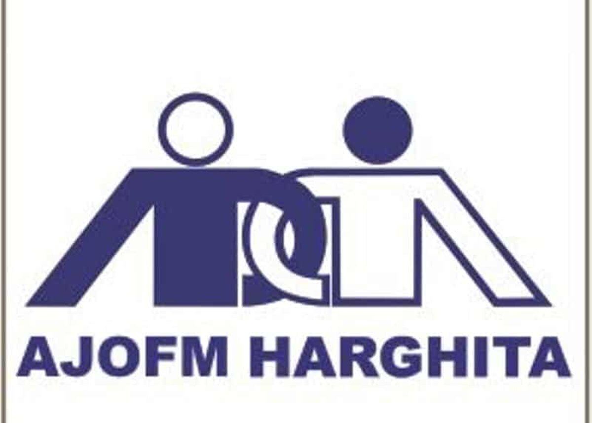 Agenţia Judeţeană pentru Ocuparea Forţei de Muncă (AJOFM) Harghita invită angajatorii să răspundă la un chestionar online