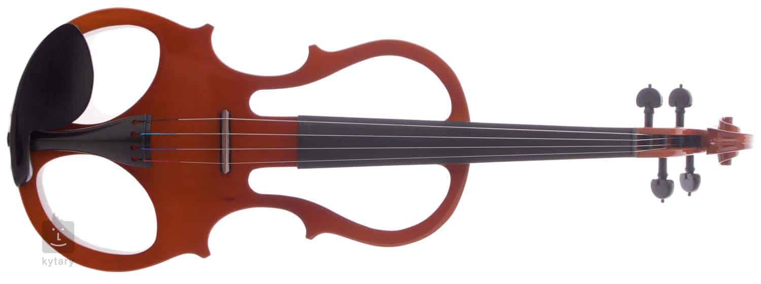 Viori vechi de 100-300 de ani, investigate radiografic şi CT la USAMV Cluj-Napoca