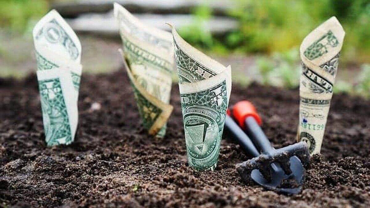 bani investitii