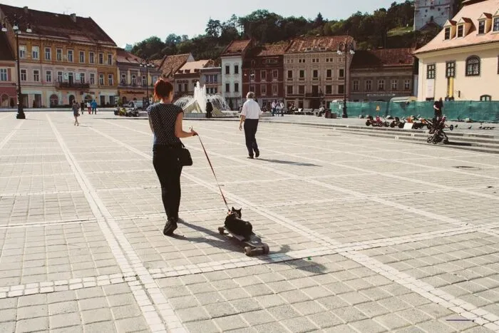 brasov