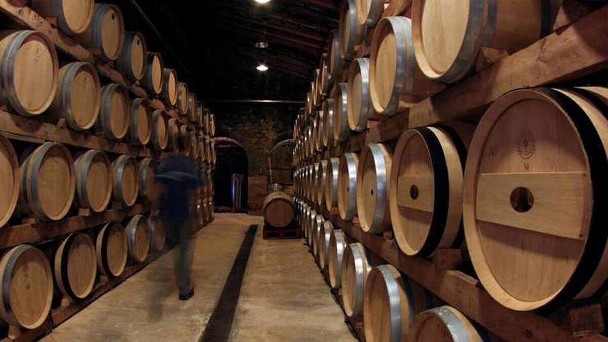 brazilia si a dublat recolta in 2017 africa de sud a progresat cu 2 iar australia cu 6 1