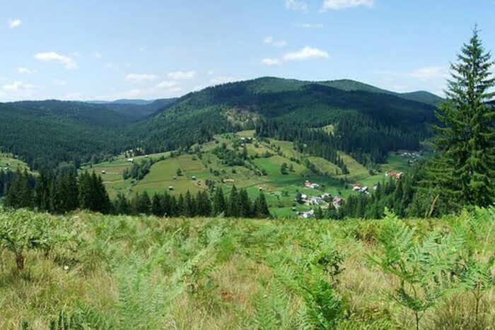 cazare in bucovina