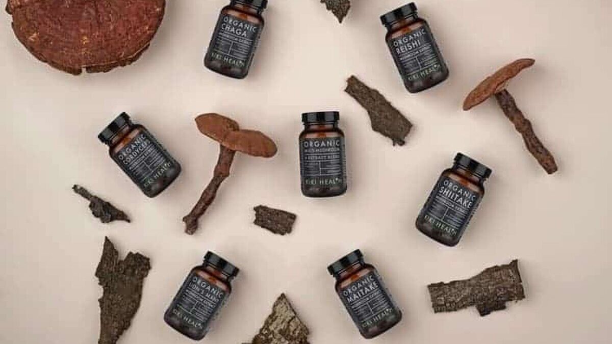 Avantajele consumului de ciupercă tibetană ciuperca tibetana
