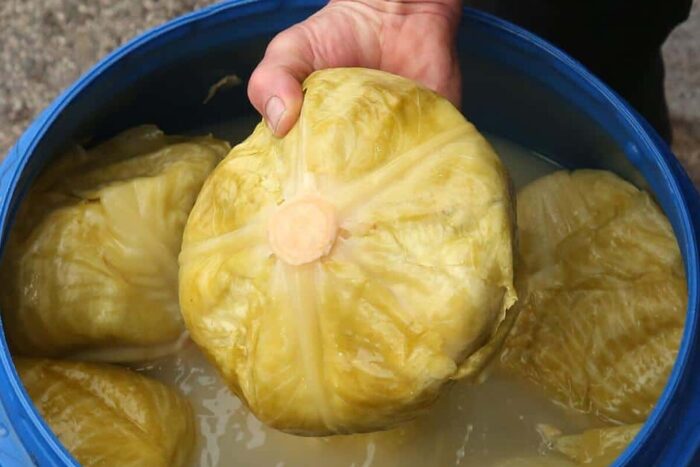 d82c18cad7de5962f49b