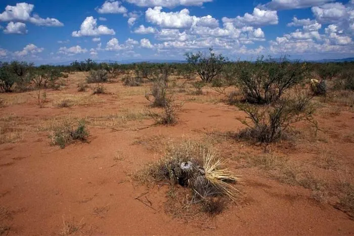 desertificare