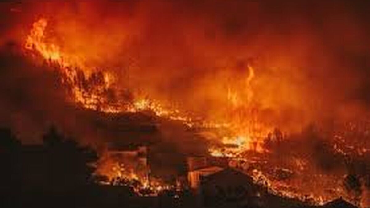 download 2020 08 24T002602.925