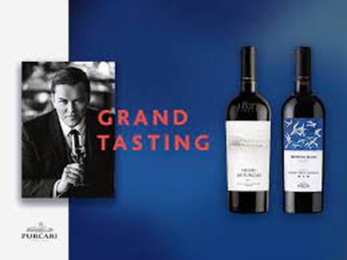 Profitul brut al companiei Purcări Wineries a fost de 26,03 milioane lei