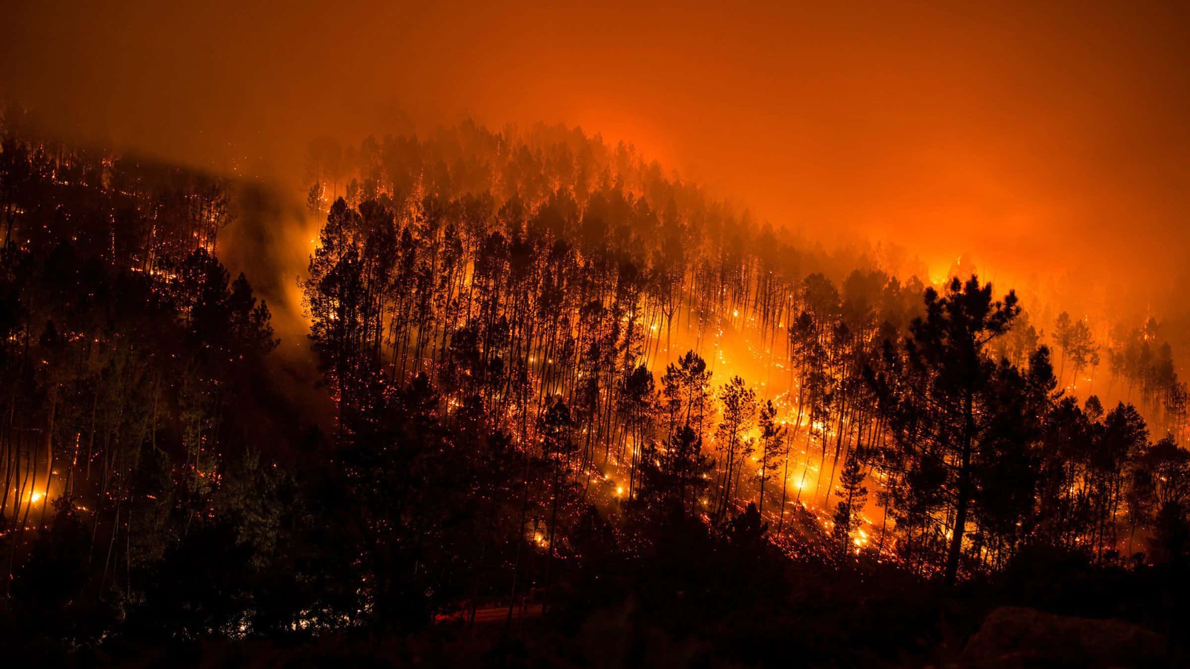 Brazilia se confruntă cu cel mai mare număr de incendii amazoniene din ultimii 10 ani