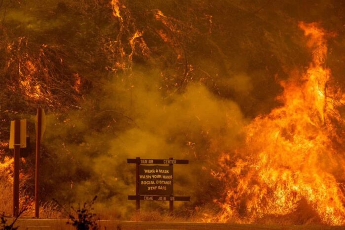 foc