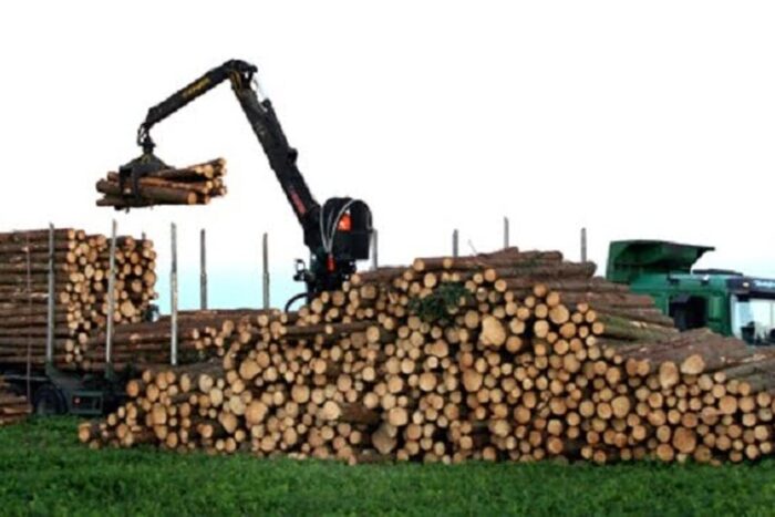 holzindustrie20090625185648 04025600