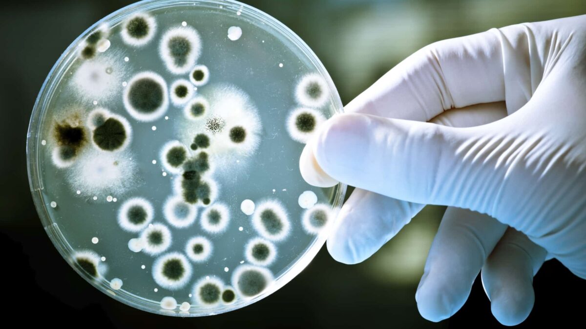 how_bacteria_work_orig_44278900