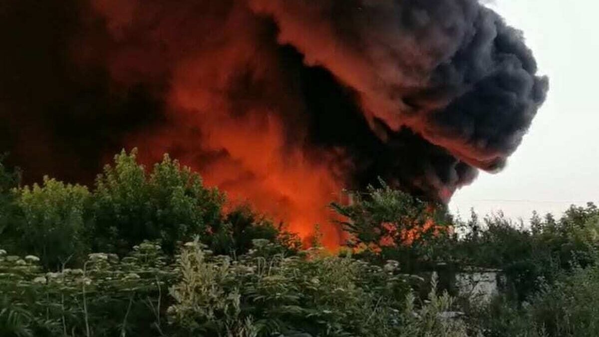 Incendiile au mistuit o suprafaţă record în Europa, nemaiîntâlnită din 2006 incendiu salonta 09072021 1