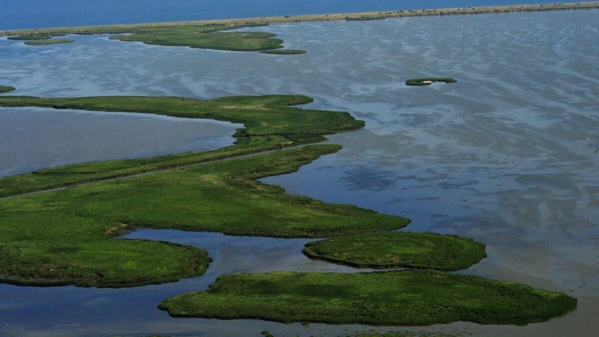 Insulele salbatice din Delta Dunarii insule delta dunarii