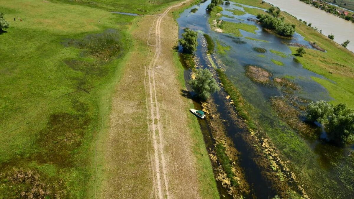 Acţiuni de sustenabilitate în Lunca inundabilă a Dunării de Jos şi Delta Dunării lunca dunarii