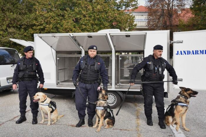 masina caini jandarmi 3