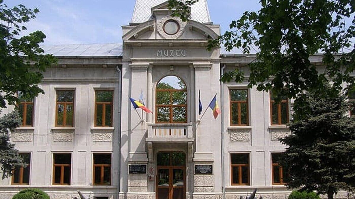 muzeu 7