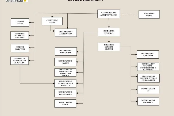 onix-asigurari-organigramma-1