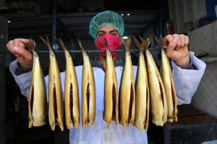 peste sintetic obtinut culturi celulare 728255