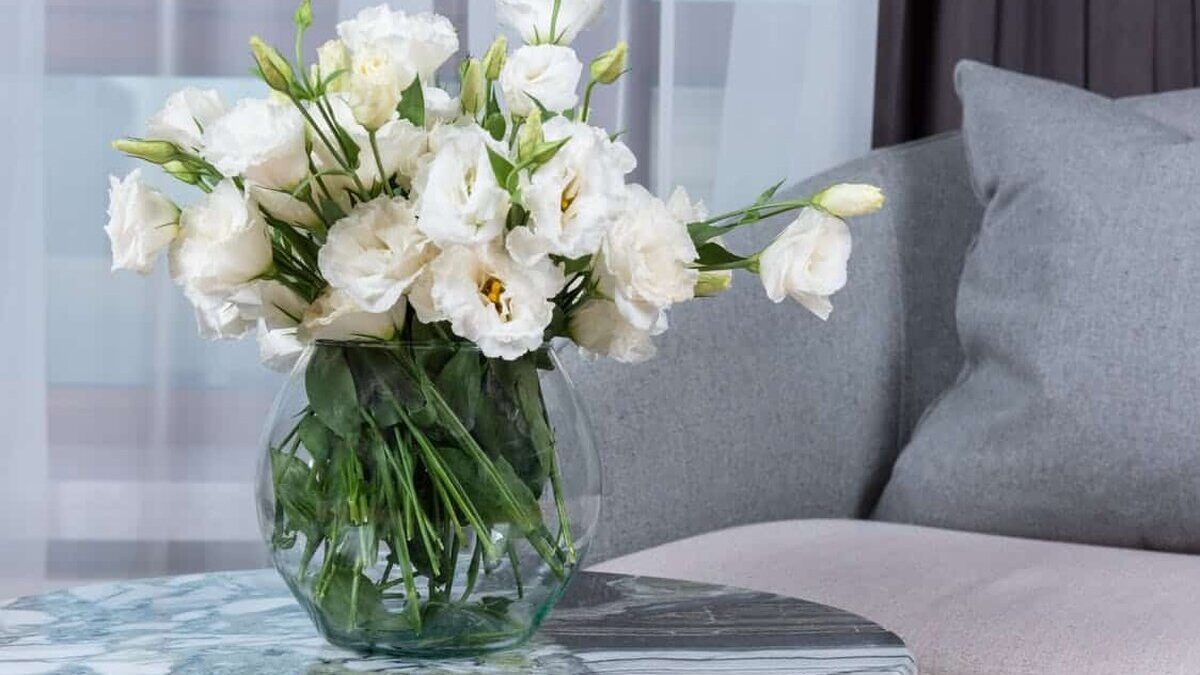 Totul despre florile de lisianthus pexels photo 6283840