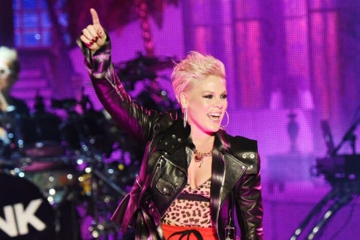 pink the palladium