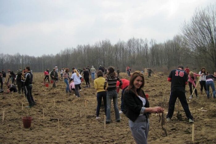 plantare Budeasa Arges 4