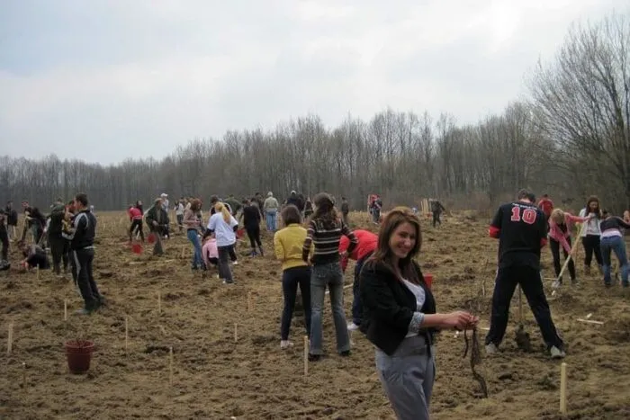 plantare_Budeasa_Arges_4