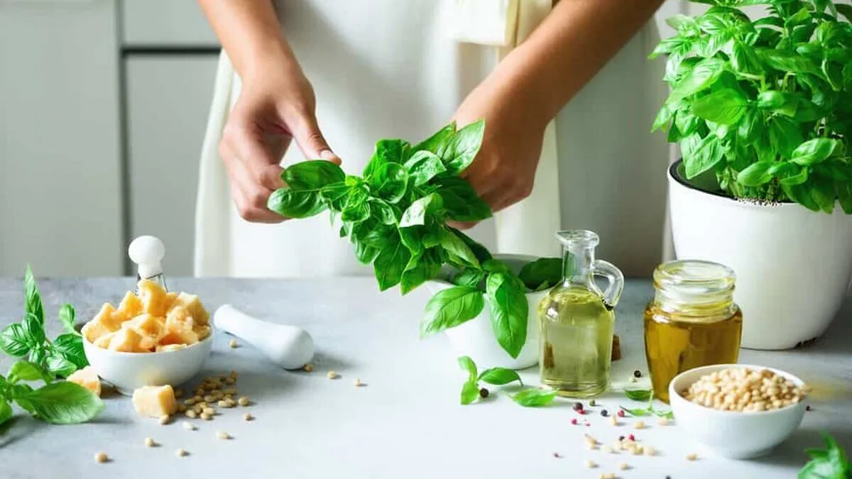 plante-aromatice_2
