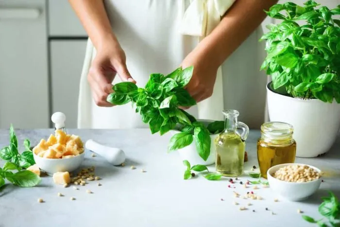 plante-aromatice_2