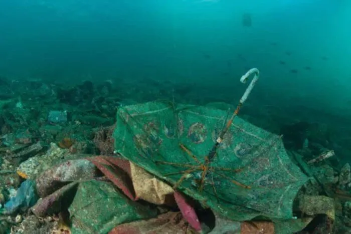 plastic