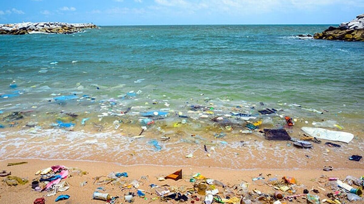 Încălzirea globală a adus lumea în fața celei mai mari extincții a vieții marine plastic oceane