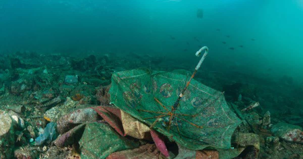 Deșeurile din plastic aruncate în ocean, formează Marea Insulă de Gunoaie din Pacific