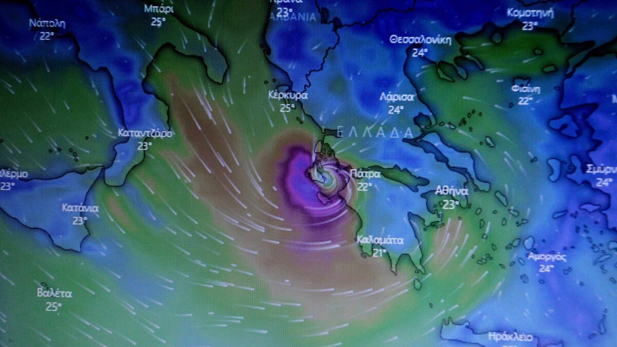 profimedia 0558570349 scaled 1